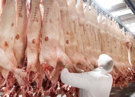 德国最大肉类加工厂聚集性感染 究竟是肉类什么情况？