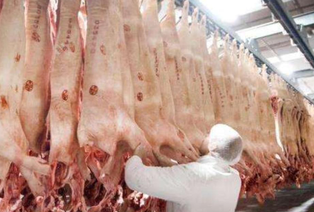 德国最大肉联厂感染人数持续上升 目前已有730例确诊
