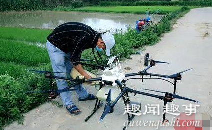 湖南永州现大批蝗虫啃食树叶飞入民居 当地出动无人机灭蝗具体是什么情况？