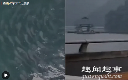 壮观！杭州水库因强降雨水位暴涨 闸门前出现神奇景象实在令人震惊(视频)