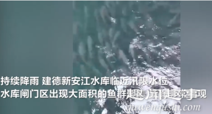 壮观！杭州水库因强降雨水位暴涨 闸门前出现神奇景象到底是什么情况(视频)?