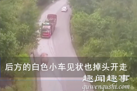 震惊!云南警方出动无人机侦查 意外记录大象遇上卡车罕见现场