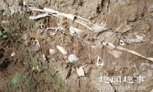 山西村民发现骇人尸骨坑厚度超过半米 专家勘查后揭秘真相实在令人震惊