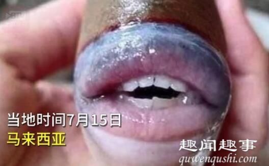 马来西亚发现长着人类牙齿和嘴唇的齿和怪鱼 到底是什么情况?