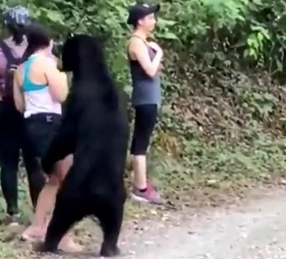 3名女子路遇黑熊被熊抱 到底是什么情况?