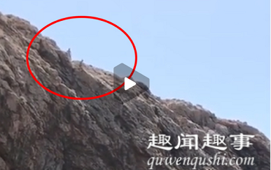近日,点晃动镜一男子发现远处悬崖上有个小黑点晃动,镜头拉近一看原来是有人从40米高处