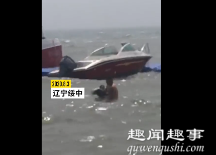 8月3日,辽宁绥中。游客在东戴河海滨浴场洗海澡时,被一只江豚撞到吓了一跳。
