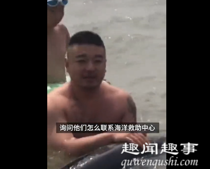 游客海中洗澡时被近2米长江豚撞了一下 随后发生的事令人欣慰内幕揭秘实在令人惊讶