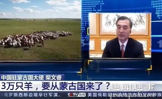 蒙古国送的蒙古3万只羊会变成羊肉 3万只羊是怎么运输到中国的?