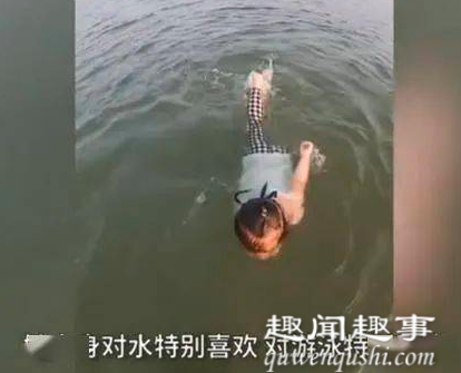 9月3日,湖南常德一2岁萌娃仅用10多分钟横渡200米宽的湖泊,她在游泳过程中还不断