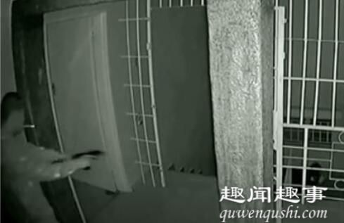华人遭武装团伙入室抢劫 叼烟掏枪“神反击”全程被拍下真相曝光实在令人震惊