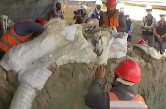 近日,一建筑工地发现古老湖床,工人挖出来的东西让人不淡定了。
