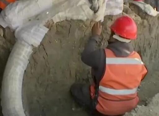 建筑工地发现古老湖床 工人挖出200具罕见猛犸象遗骸