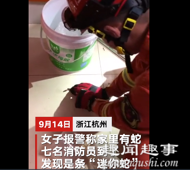 近日,杭州一名女子报警称家里有蛇,7名消防员全副武装赶到现场,仔细一看全场笑翻