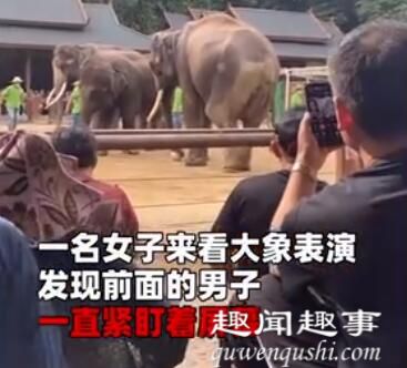 近日,云南一名女子看大象表演,意外拍到前方男子在玩手机,镜头一拉近让她瞬间无语