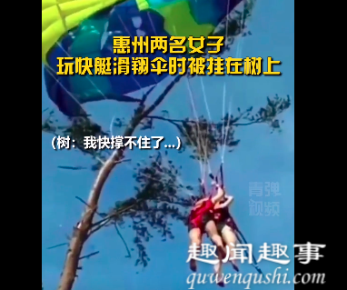 10月5日,上突广东一度假村的大树上突然传来女子哇哇大叫声,众人抬头一看,现场画面太尴尬