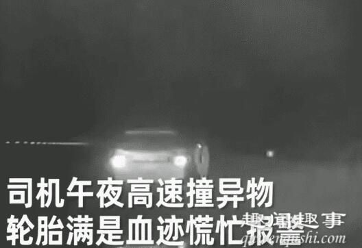 近日,江西一名男子午夜在高速开车,突然撞到异物,壮着胆子下车一看吓得报警。