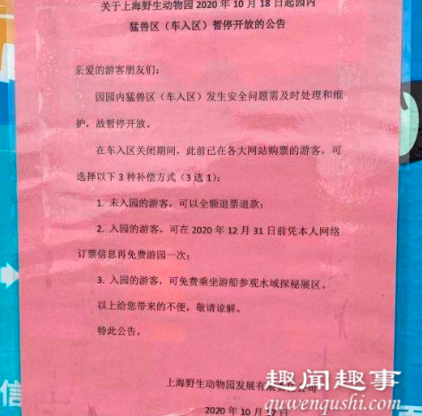 10月17日,遭熊上海野生动物园一名饲养员在猛兽区遭熊群攻击撕咬不幸身亡,游客目睹悲剧