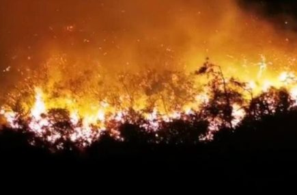 汕头南澳发生森林火灾 现场画面曝光实在让人震惊