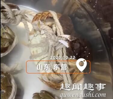 10月22日,山东一女子买回几只螃蟹放在盆里,靠近一看竟意外拍下绝望一幕,令她心酸不已