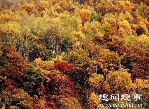 北京一家六口进山赏秋一去不回 被发现时现场画面太揪心真相曝光实在令人震惊