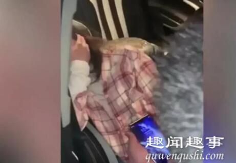 1月4日,湖南一小学校长与女老师在小树林车内私会被抓的视频被传上网,现场十分狼狈