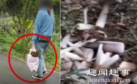 游客挖竹笋遭村民索赔1根1万 为什么引争议什么原因？