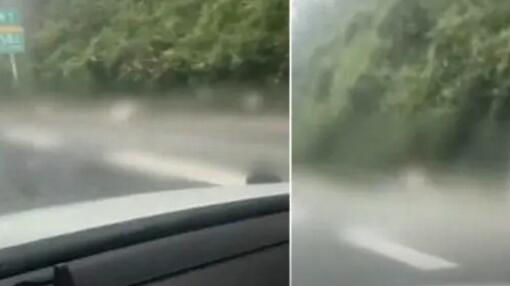 贵州4人违法进高速被撞不幸全部身亡 汽车司机被控制内幕太吓人了