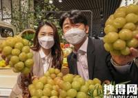 韩国果农偷日本葡萄品种后诡辩 背后真相实在让人惊愕