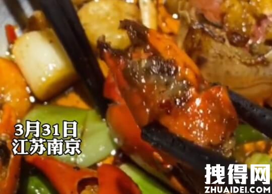 南京一饭店被曝偷换顾客螃蟹 背后真相实在让人惊愕