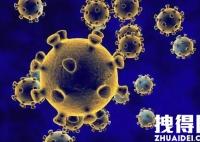 北京已报告25例感染者 涉4条传播链病例