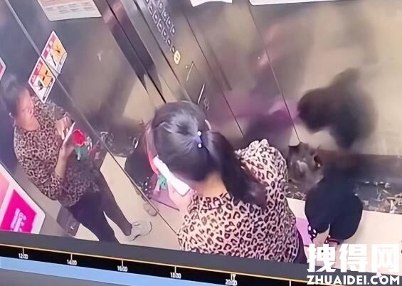 物业回应杭州女童坠楼处窗台过低 背后真相实在让人惊愕