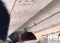 东航回应客机飞行时舱内飞出小鸟 内幕曝光简直太意外了