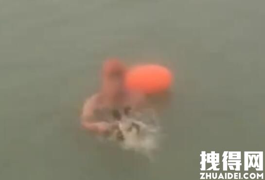 安徽一男子多次将狗闷在河水中挣扎 内幕曝光简直太意外了
