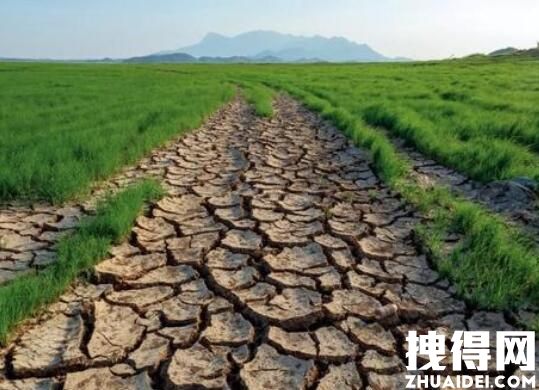 专家:做好抗大旱长旱的究竟准备 究竟是怎么回事？