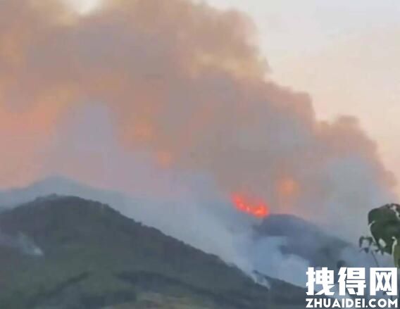重庆山火最新情况最新消息 重庆山火是消息什么原因造成的？