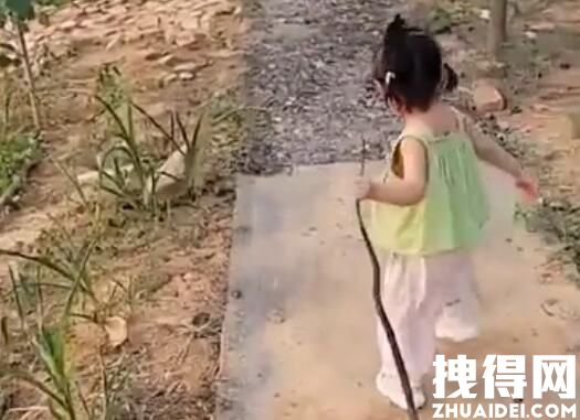 2岁女孩把蛇干当玩具吓跑妈妈 究竟是妈究怎么回事？