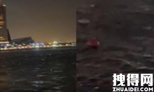 台湾6.5级地震 水中鱼群跃出水面 背后真相实在让人惊愕