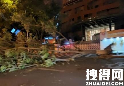 北京9级大风:树被吹倒 有建筑停电 背后真相实在让人惊愕
