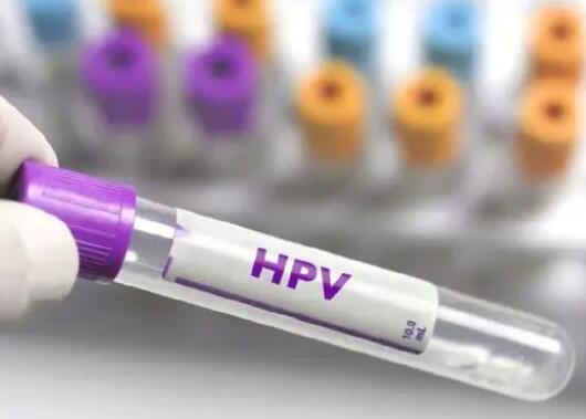 男童喉咙长菜花样肿块确诊感染HPV 内幕曝光简直太意外了