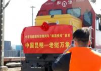 中国修了多少条跨境铁路?美媒图解建设和规划示意图