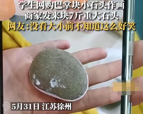 学生网购小石头收到7斤巨石 内幕曝光简直太意外了