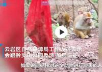 黔灵山公园猕猴被装袋挂树上 内幕曝光简直太意外了