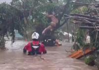 居民洪水中抱树求生24小时后获救 内幕曝光简直太意外了