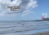 核污水排海后日本人在海里游泳 内幕曝光简直太意外了