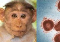国内出现女性猴痘感染者 专家提醒 内幕曝光简直太意外了