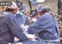 美国医生再次将猪心脏移植给患者 内幕曝光简直太意外了